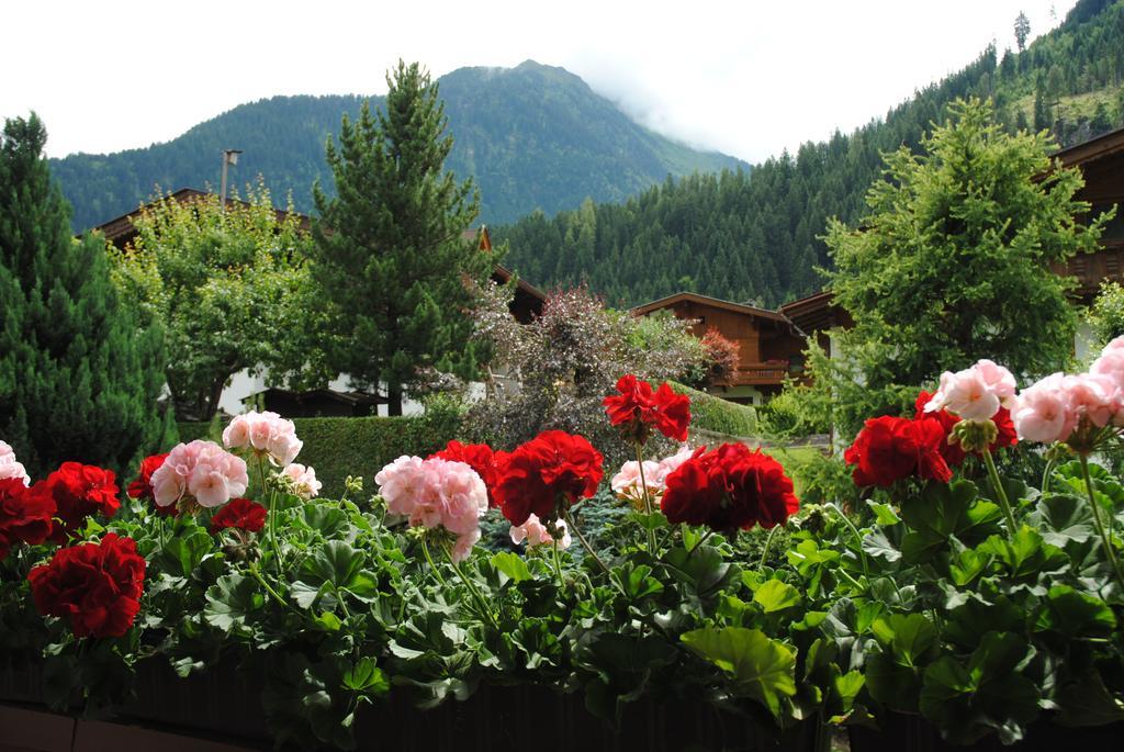 Bed & Breakfast Gaestehaus Pirker Finkenberg